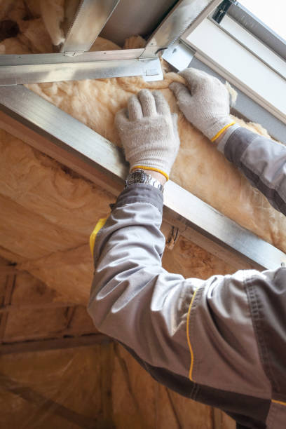 Best Garage Insulation Installation  in Dallas Center, IA
