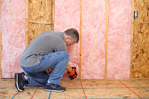 Best Attic Insulation Installation  in Dallas Center, IA